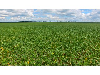 Property photo 9 - FARMLAND AUCTION - 436+/- ACRES IN 10 TRACTS IN AUGLAIZE COUNTY, OH