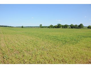 Property photo 21 - ILLINOIS LAND AUCTION - 705+/- ACRES OFFERED IN 16 TRACTS IN EDWARDS COUNTY, ILLINOIS