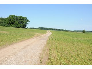 Property photo 22 - ILLINOIS LAND AUCTION - 705+/- ACRES OFFERED IN 16 TRACTS IN EDWARDS COUNTY, ILLINOIS