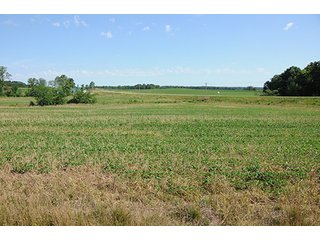 Property photo 24 - ILLINOIS LAND AUCTION - 705+/- ACRES OFFERED IN 16 TRACTS IN EDWARDS COUNTY, ILLINOIS