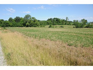 Property photo 25 - ILLINOIS LAND AUCTION - 705+/- ACRES OFFERED IN 16 TRACTS IN EDWARDS COUNTY, ILLINOIS