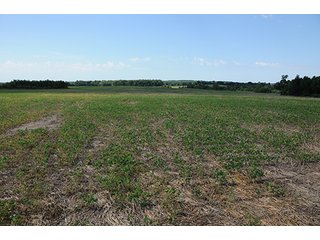 Property photo 27 - ILLINOIS LAND AUCTION - 705+/- ACRES OFFERED IN 16 TRACTS IN EDWARDS COUNTY, ILLINOIS