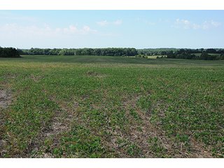 Property photo 26 - ILLINOIS LAND AUCTION - 705+/- ACRES OFFERED IN 16 TRACTS IN EDWARDS COUNTY, ILLINOIS