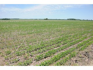 Property photo 36 - ILLINOIS LAND AUCTION - 705+/- ACRES OFFERED IN 16 TRACTS IN EDWARDS COUNTY, ILLINOIS