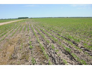 Property photo 39 - ILLINOIS LAND AUCTION - 705+/- ACRES OFFERED IN 16 TRACTS IN EDWARDS COUNTY, ILLINOIS