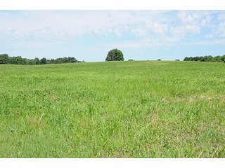 Property photo 38 - ILLINOIS LAND AUCTION - 705+/- ACRES OFFERED IN 16 TRACTS IN EDWARDS COUNTY, ILLINOIS