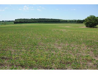 Property photo 29 - ILLINOIS LAND AUCTION - 705+/- ACRES OFFERED IN 16 TRACTS IN EDWARDS COUNTY, ILLINOIS