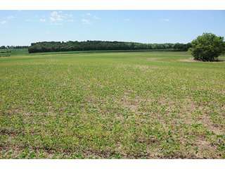 Property photo 32 - ILLINOIS LAND AUCTION - 705+/- ACRES OFFERED IN 16 TRACTS IN EDWARDS COUNTY, ILLINOIS
