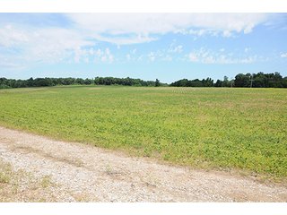 Property photo 33 - ILLINOIS LAND AUCTION - 705+/- ACRES OFFERED IN 16 TRACTS IN EDWARDS COUNTY, ILLINOIS