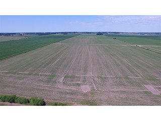 Tract 2 - ILLINOIS LAND AUCTION - 705+/- ACRES OFFERED IN 16 TRACTS IN EDWARDS COUNTY, ILLINOIS
