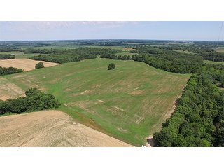 Property photo 10 - ILLINOIS LAND AUCTION - 705+/- ACRES OFFERED IN 16 TRACTS IN EDWARDS COUNTY, ILLINOIS