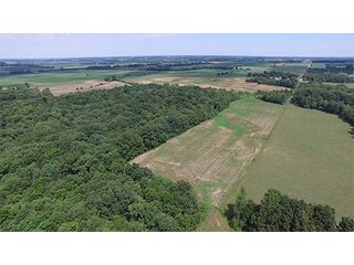 Property photo 11 - ILLINOIS LAND AUCTION - 705+/- ACRES OFFERED IN 16 TRACTS IN EDWARDS COUNTY, ILLINOIS