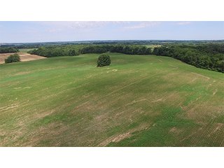 Property photo 13 - ILLINOIS LAND AUCTION - 705+/- ACRES OFFERED IN 16 TRACTS IN EDWARDS COUNTY, ILLINOIS