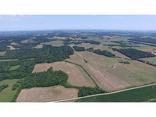 Property photo 14 - ILLINOIS LAND AUCTION - 705+/- ACRES OFFERED IN 16 TRACTS IN EDWARDS COUNTY, ILLINOIS