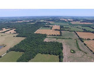 Property photo 16 - ILLINOIS LAND AUCTION - 705+/- ACRES OFFERED IN 16 TRACTS IN EDWARDS COUNTY, ILLINOIS