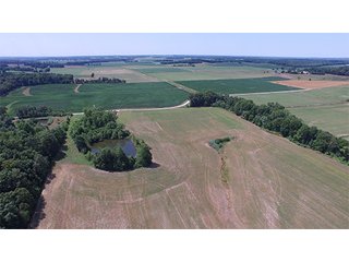 Property photo 18 - ILLINOIS LAND AUCTION - 705+/- ACRES OFFERED IN 16 TRACTS IN EDWARDS COUNTY, ILLINOIS