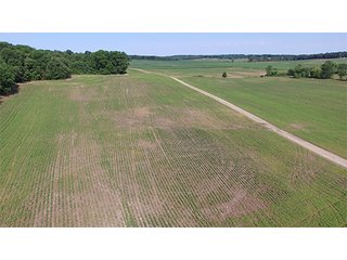 Tract 15 - ILLINOIS LAND AUCTION - 705+/- ACRES OFFERED IN 16 TRACTS IN EDWARDS COUNTY, ILLINOIS