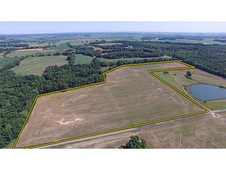 Tracts 7 - ILLINOIS LAND AUCTION - 705+/- ACRES OFFERED IN 16 TRACTS IN EDWARDS COUNTY, ILLINOIS