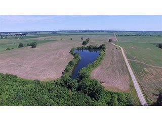 Property photo 23 - ILLINOIS LAND AUCTION - 705+/- ACRES OFFERED IN 16 TRACTS IN EDWARDS COUNTY, ILLINOIS
