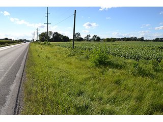 Property photo 12 - LAND AUCTION - 417+/- ACRES IN 9 TRACTS IN NEWTON COUNTY, INDIANA