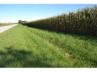 Property photo 21 - LAND AUCTION - 417+/- ACRES IN 9 TRACTS IN NEWTON COUNTY, INDIANA