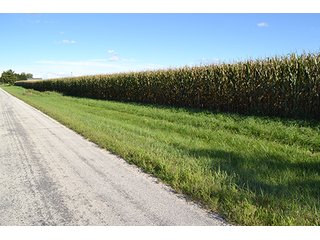 Property photo 14 - LAND AUCTION - 417+/- ACRES IN 9 TRACTS IN NEWTON COUNTY, INDIANA