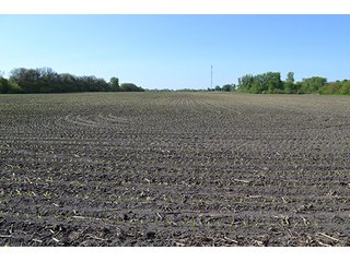 Property photo 38 - LAND AUCTION - 417+/- ACRES IN 9 TRACTS IN NEWTON COUNTY, INDIANA