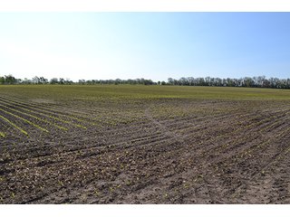 Property photo 36 - LAND AUCTION - 417+/- ACRES IN 9 TRACTS IN NEWTON COUNTY, INDIANA