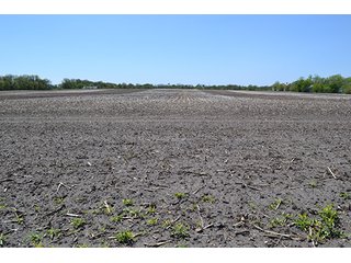 Property photo 5 - LAND AUCTION - 417+/- ACRES IN 9 TRACTS IN NEWTON COUNTY, INDIANA