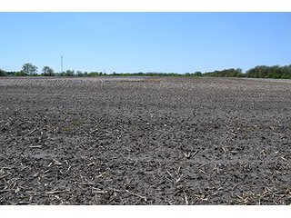 Property photo 33 - LAND AUCTION - 417+/- ACRES IN 9 TRACTS IN NEWTON COUNTY, INDIANA