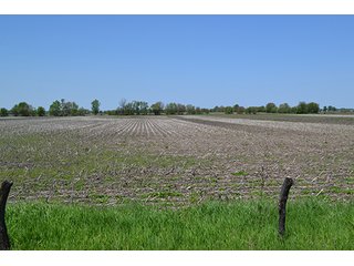 Property photo 11 - LAND AUCTION - 417+/- ACRES IN 9 TRACTS IN NEWTON COUNTY, INDIANA