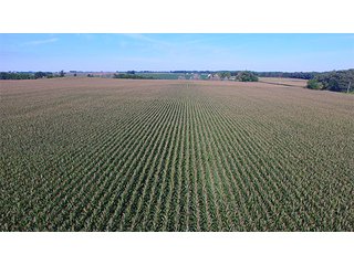 Property photo 37 - LAND AUCTION - 417+/- ACRES IN 9 TRACTS IN NEWTON COUNTY, INDIANA