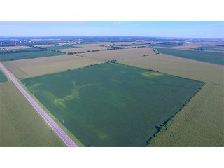 Property photo 51 - LAND AUCTION - 417+/- ACRES IN 9 TRACTS IN NEWTON COUNTY, INDIANA