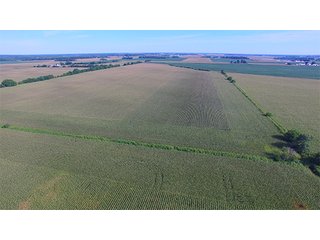 Property photo 43 - LAND AUCTION - 417+/- ACRES IN 9 TRACTS IN NEWTON COUNTY, INDIANA