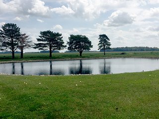 Property photo 10 - REAL ESTATE AUCTION - 3 BDRM HOME ON 1.78 ACRE LOT W/POND IN ALLEN CO., IN