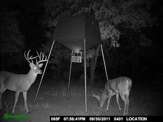 Property photo 42 - LARGE KANSAS AUCTION - 7,672+/- ACRES OFFERED IN 12 TRACTS IN CHAUTAUQUA COUNTY, KANSAS