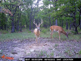 Property photo 43 - LARGE KANSAS AUCTION - 7,672+/- ACRES OFFERED IN 12 TRACTS IN CHAUTAUQUA COUNTY, KANSAS
