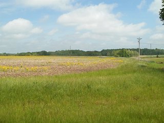 Property photo 31 - LAND AUCTION - 754+/- ACRES OFFERED IN 4 FARMS & 16 TRACTS IN RIPLEY CO., IN