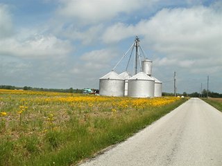 TRACT 2 - LAND AUCTION - 754+/- ACRES OFFERED IN 4 FARMS & 16 TRACTS IN RIPLEY CO., IN