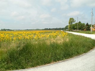 Property photo 37 - LAND AUCTION - 754+/- ACRES OFFERED IN 4 FARMS & 16 TRACTS IN RIPLEY CO., IN