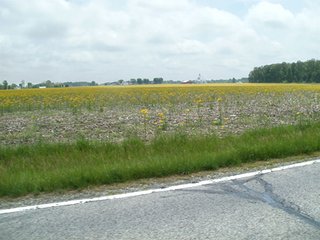 Property photo 35 - LAND AUCTION - 754+/- ACRES OFFERED IN 4 FARMS & 16 TRACTS IN RIPLEY CO., IN