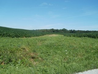Property photo 30 - LAND AUCTION - 754+/- ACRES OFFERED IN 4 FARMS & 16 TRACTS IN RIPLEY CO., IN