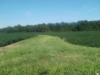 Property photo 28 - LAND AUCTION - 754+/- ACRES OFFERED IN 4 FARMS & 16 TRACTS IN RIPLEY CO., IN