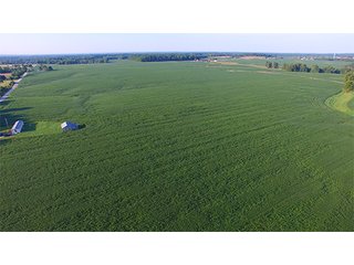 Property photo 2 - LAND AUCTION - 754+/- ACRES OFFERED IN 4 FARMS & 16 TRACTS IN RIPLEY CO., IN