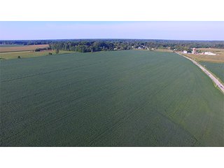 Property photo 9 - LAND AUCTION - 754+/- ACRES OFFERED IN 4 FARMS & 16 TRACTS IN RIPLEY CO., IN