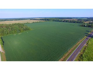Property photo 10 - LAND AUCTION - 754+/- ACRES OFFERED IN 4 FARMS & 16 TRACTS IN RIPLEY CO., IN