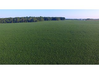 Property photo 5 - LAND AUCTION - 754+/- ACRES OFFERED IN 4 FARMS & 16 TRACTS IN RIPLEY CO., IN