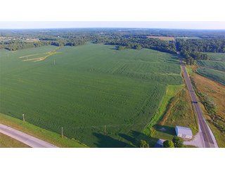 Property photo 3 - LAND AUCTION - 754+/- ACRES OFFERED IN 4 FARMS & 16 TRACTS IN RIPLEY CO., IN
