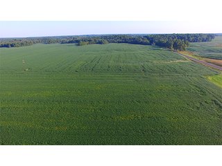 Property photo 1 - LAND AUCTION - 754+/- ACRES OFFERED IN 4 FARMS & 16 TRACTS IN RIPLEY CO., IN