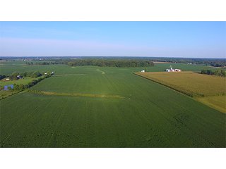 Property photo 4 - LAND AUCTION - 754+/- ACRES OFFERED IN 4 FARMS & 16 TRACTS IN RIPLEY CO., IN